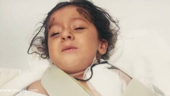 زوجان ضربا خادمة تبلغ 8 سنوات حتى الموت.. والسبب ببغاء! صورة رقم 1