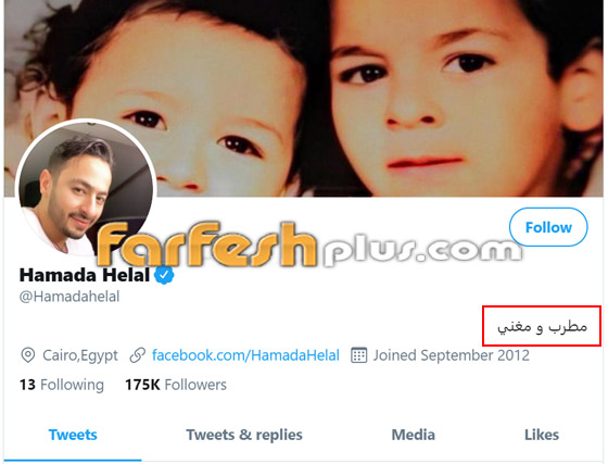 نجوم تعرضوا للتنمر: محمد رمضان، كارول سماحة، حمادة هلال، أنغام ودينا صورة رقم 2