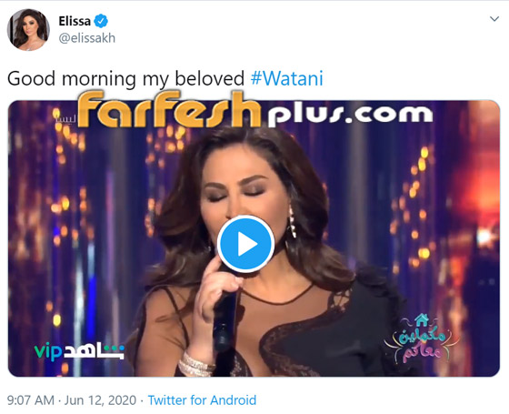 فيديو إليسا تتفاعل مع الغضب الشعبي وثورة الجياع بلبنان وتغني (وطني) صورة رقم 1