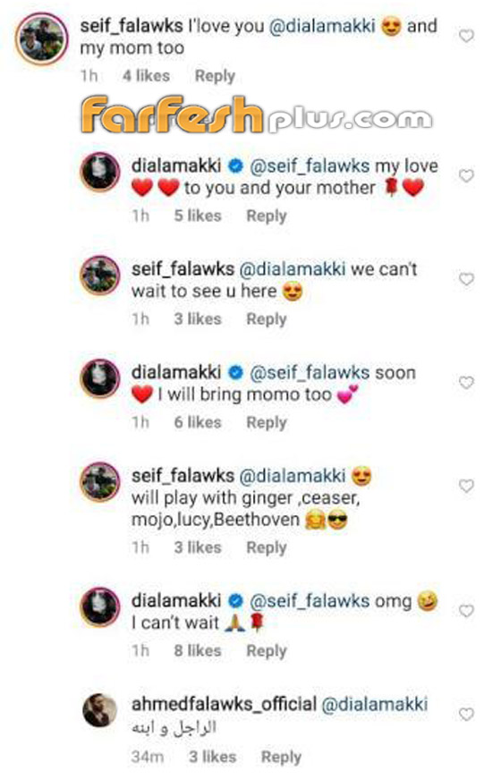 خطوبة أحمد فلوكس واللبنانية ديالا مكي (تكبره بـ3 سنوات) وابنه يناديها (ماما) صورة رقم 4