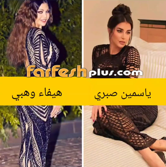 حرب الضراير! إلى أين وصلت غيرة ياسمين صبري من هيفاء وهبي؟ صورة رقم 1