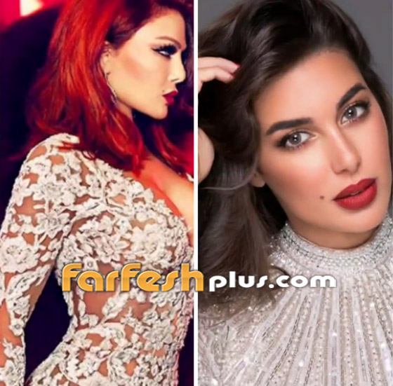 حرب الضراير! إلى أين وصلت غيرة ياسمين صبري من هيفاء وهبي؟ صورة رقم 6