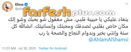 كيف ردت أحلام على إليسا بعد أن هنأتها بعيد الأضحى المبارك؟ صورة رقم 2