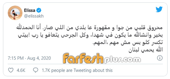 اليسا بعد انفجار بيروت: “بيتي تكسر كلو “ صورة رقم 1