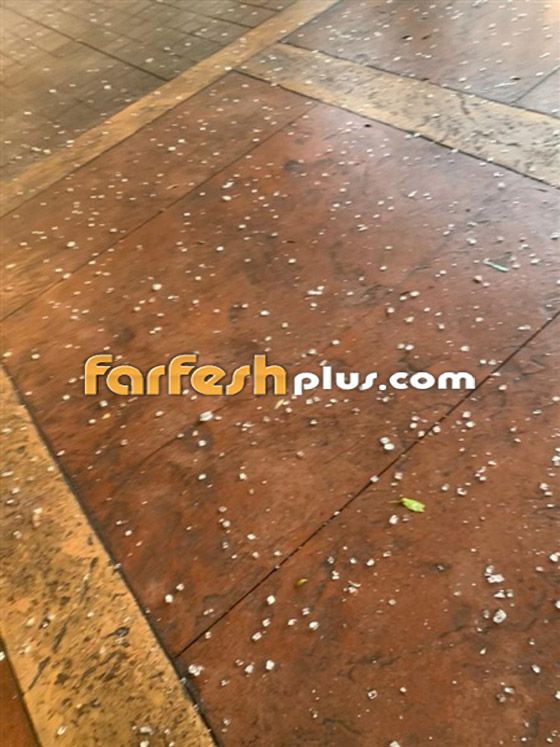 انفجار لبنان: أضرار جسيمة بمنازل 9 نجوم منهم هيفاء، إليسا وراغب! صور وفيديو صورة رقم 15