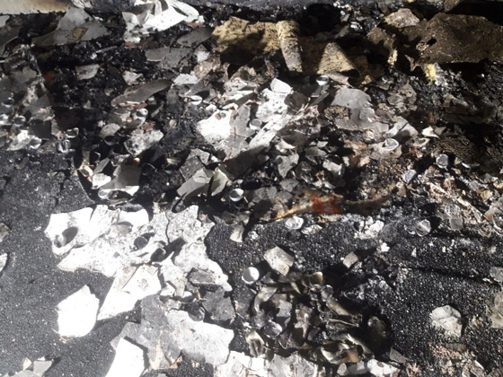 بالصور: أراد أن يفاجئها بطلب زواج رومانسي فوقعت الكارثة! صورة رقم 11