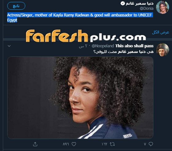 شبيهة دنيا سمير غانم تثير الجدل.. ماذا قالت الفنانة المصرية؟ صورة رقم 1