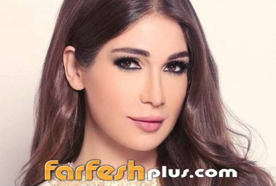 دعوتان قضائيتان ضد الإعلامية اللبنانية ديما صادق وتعويض بـ72794 دولار صورة رقم 3