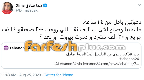 دعوتان قضائيتان ضد الإعلامية اللبنانية ديما صادق وتعويض بـ72794 دولار صورة رقم 2