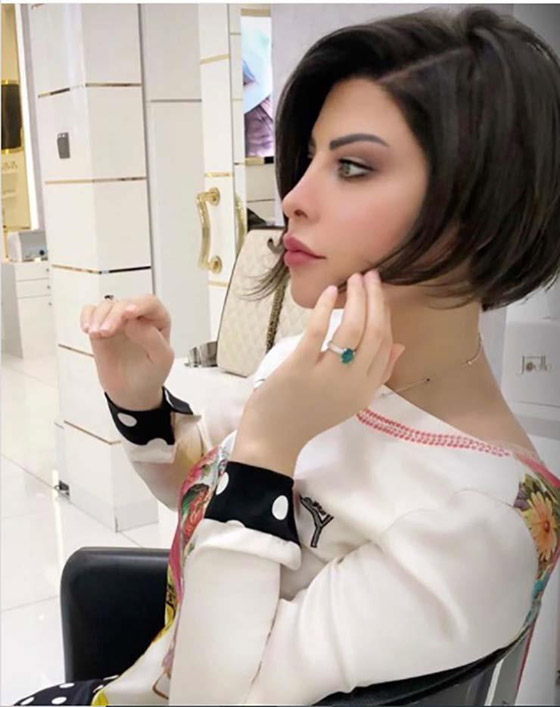 10 صور جديدة لنجوم الفن منهم تامر عاشور وابنة هيفاء وهبي  صورة رقم 5