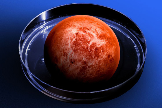 اكتشاف غاز في كوكب الزهرة يشير إلى احتمال وجود حياة عليه! صورة رقم 6 اكتشاف غاز في كوكب الزهرة يشير إلى احتمال وجود حياة عليه! صورة رقم 6