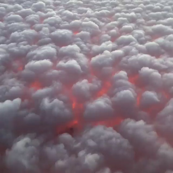 مشهد كالجحيم بالسماء.. هل اشتعلت الغيوم فعلا بسبب حرائق أمريكا؟ صورة رقم 4