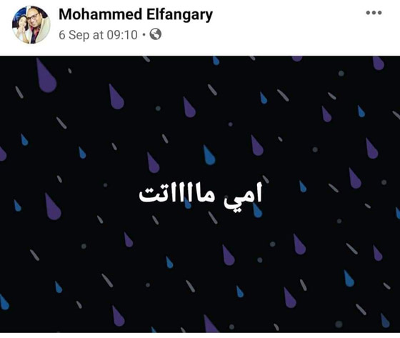 فقد عائلته بغضون أيام ثم توفي.. كورونا يودي بحياة أسرة مصرية كاملة! صورة رقم 2
