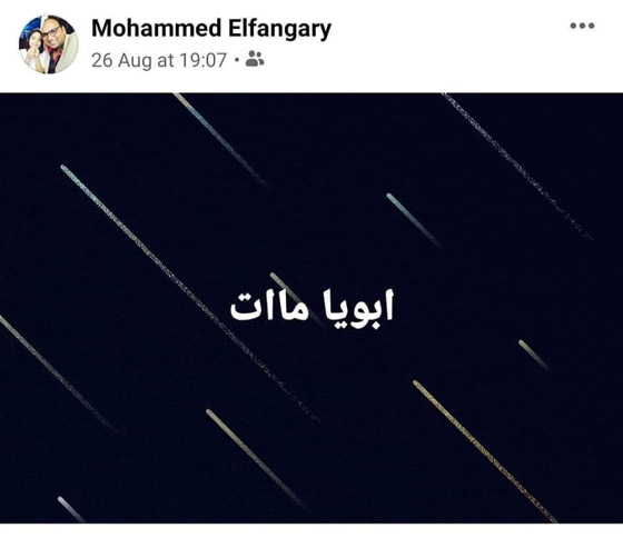 فقد عائلته بغضون أيام ثم توفي.. كورونا يودي بحياة أسرة مصرية كاملة! صورة رقم 3