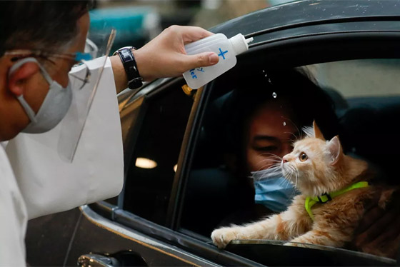 أبرز صور الأسبوع: إليكم أهم الأحداث المصورة من زوايا العالم المختلفة صورة رقم 8
