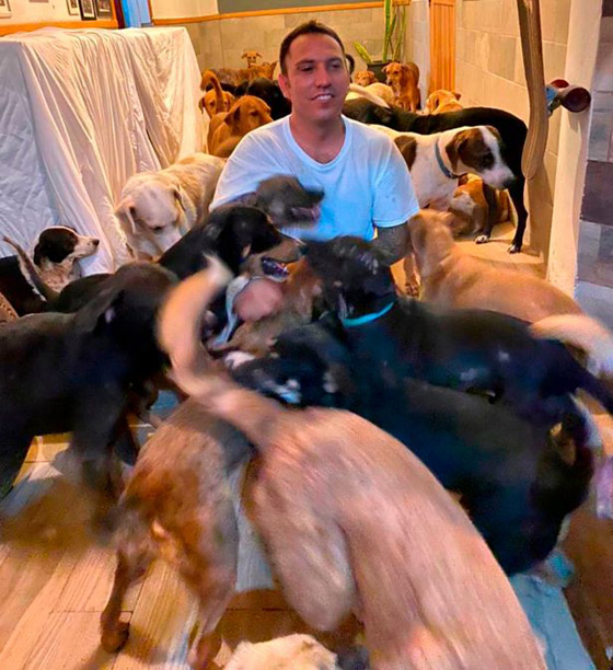 خوفا من الإعصار.. أب فتح بيته لإيواء 300 كلب واحتضنهم بغرف أبنائه صورة رقم 13