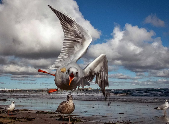 أبرز صور الأسبوع: إليكم أهم الأحداث المصورة من زوايا العالم المختلفة صورة رقم 17