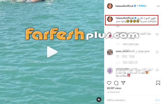 فيديو هالة صدقي بالمايوه تستعرض مهارتها بالسباحة صورة رقم 1