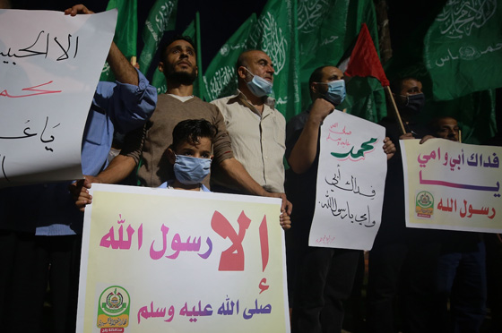 شيخ الأزهر: لا نقبلُ بأن تكون رموزُنا ومقدساتُنا ضحيةَ مضاربةٍ رخيصةٍ  صورة رقم 3