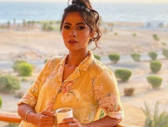 فنانون بدأوا مشوارهم الفني بالظهور في الإعلانات (فيديو) صورة رقم 5