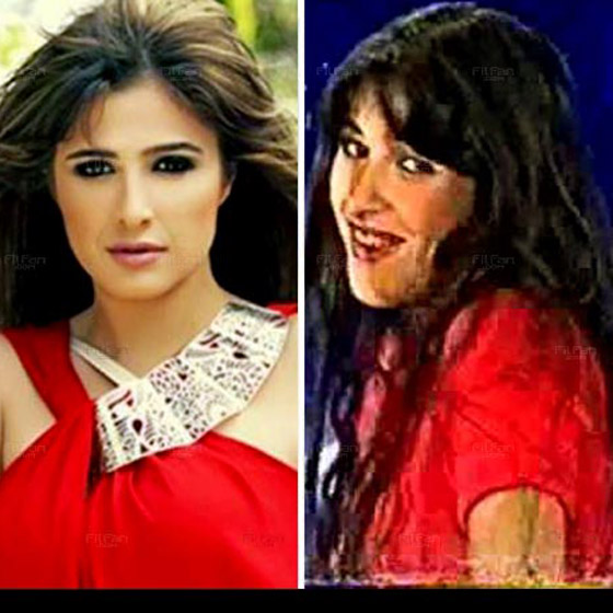 فنانون بدأوا مشوارهم الفني بالظهور في الإعلانات (فيديو) صورة رقم 2