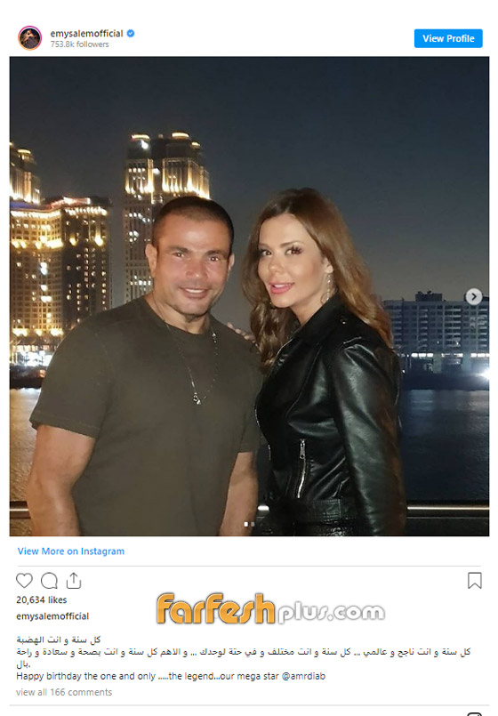 حقيقة ارتباط عمرو دياب بالفنانة ” إيمي سالم “ صورة رقم 2