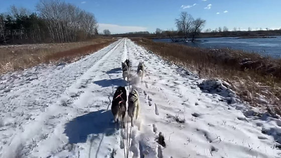 فيديو لكرة نارية هزت النوافذ وتوهجت في السماء.. ماذا حدث؟ صورة رقم 14