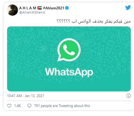 إليسا وكارول سماحة تحذفان “واتساب” بعد أزمة الخصوصية صورة رقم 3