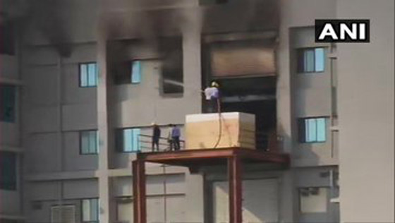 فيديو.. النار تلتهم أكبر معهد لإنتاج اللقاحات في العالم صورة رقم 3