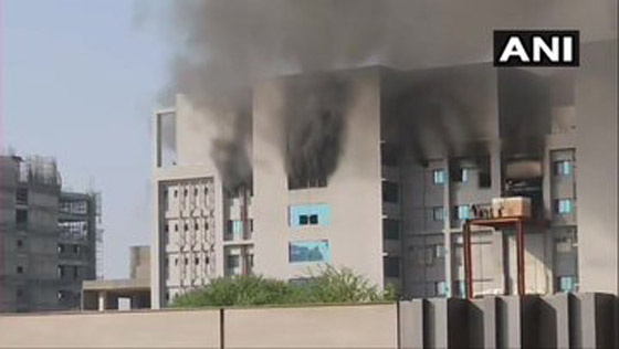 فيديو.. النار تلتهم أكبر معهد لإنتاج اللقاحات في العالم صورة رقم 4