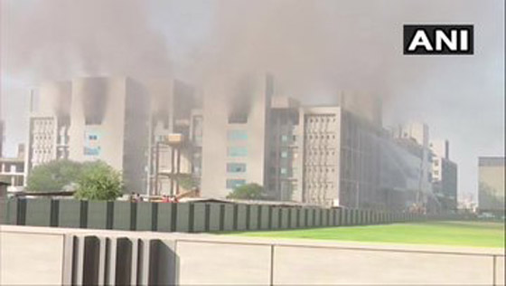 فيديو.. النار تلتهم أكبر معهد لإنتاج اللقاحات في العالم صورة رقم 6