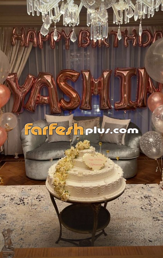 أحمد أبو هشيمة يقيم حفلا ضخما لياسمين صبري بمناسبة عيد ميلادها صورة رقم 9