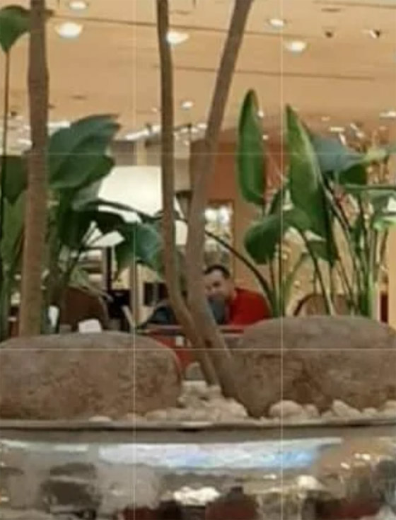 تسريب صور لمعز مسعود مع فتاة داخل فندق .. والمتابعون : ” حلا شيحة “ صورة رقم 2