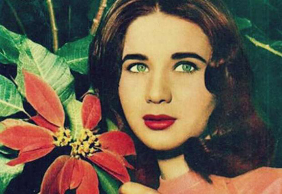 الكشف عن قصة زواج الراحلة زبيدة ثروت من عبد الحليم حافظ صورة رقم 4