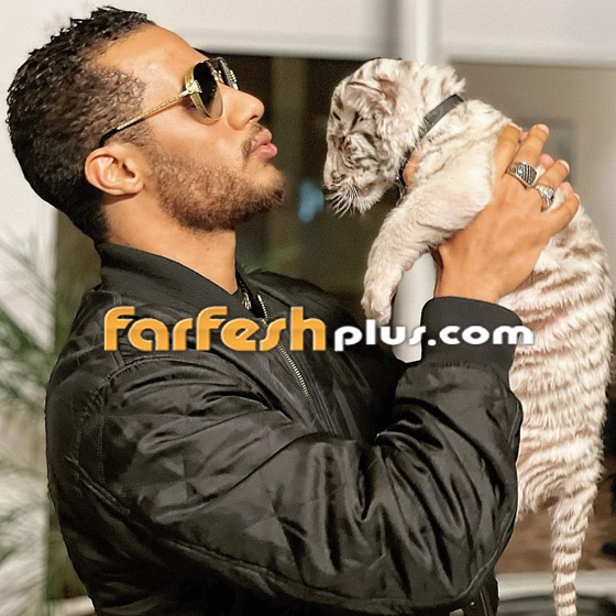 محمد رمضان مهدد بعقوبة 25 مليون جنيه والمحكمة تستدعيه لسماع أقواله صورة رقم 19