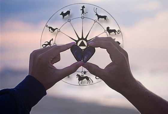 الأبراج الصينية تحدد صفاتكم ومع من تتوافقون، وكيف تجدون السعادة! صورة رقم 18 الأبراج الصينية تحدد صفاتكم ومع من تتوافقون، وكيف تجدون السعادة! صورة رقم 18