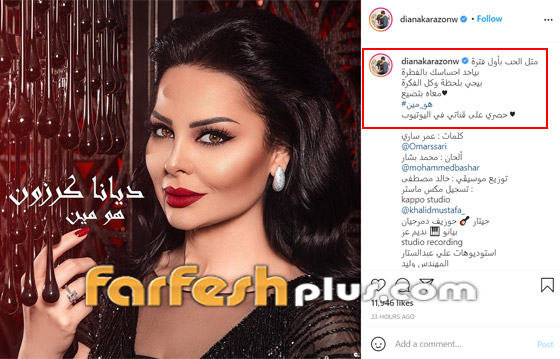 بأغنية.. ديانا كرزون تعلن حملها رسميا على طريقتها! فيديو وصور صورة رقم 1