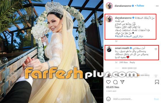 بأغنية.. ديانا كرزون تعلن حملها رسميا على طريقتها! فيديو وصور صورة رقم 2