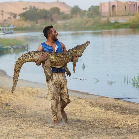 في صورة صادمة .. محمد رمضان يضع رأسه بين تمساحين !! صورة رقم 3