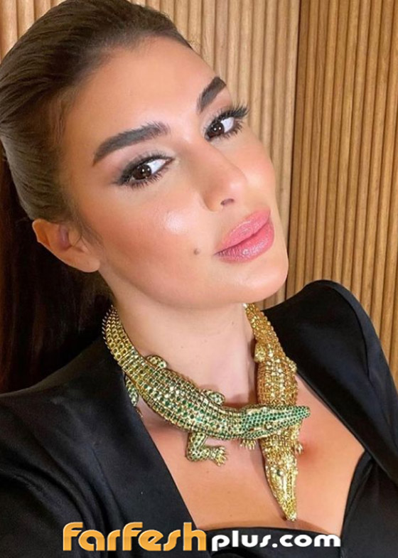 ياسمين صبري ترتدي أغلى عقد في العالم يحتوي على 120 قيراط ألماس! صورة رقم 15