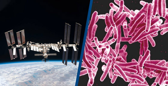 اكتشاف سلالات بكتيريا جديدة قد تساعد على الزراعة في الفضاء! صورة رقم 1 اكتشاف سلالات بكتيريا جديدة قد تساعد على الزراعة في الفضاء! صورة رقم 1