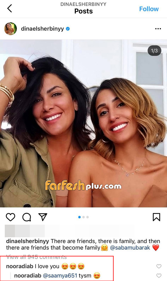 ابنة عمرو دياب تعلق على صورة دينا الشربيني:بحبك!  صورة رقم 1