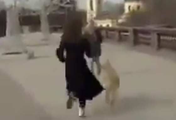 فيديو طريف لكلب يسرق ميكروفون مراسلة روسية.. ركضت خلفه لاستعادته صورة رقم 13