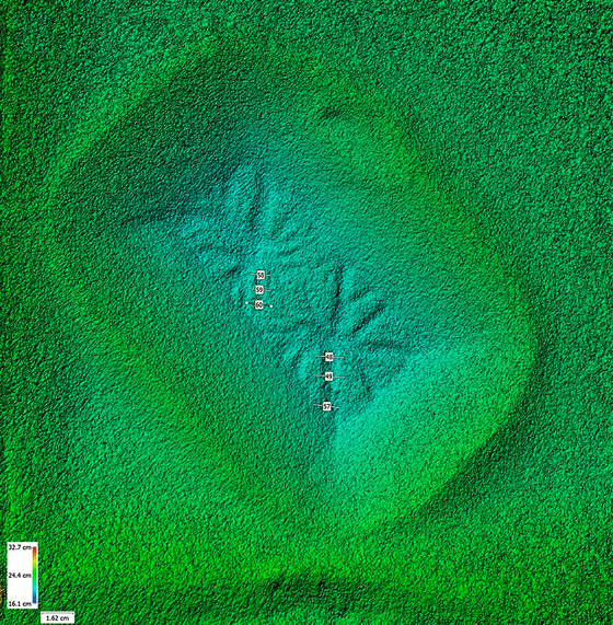 علماء الفلك يفكون لغز (عناكب المريخ) الذي حيّرهم لسنوات! صورة رقم 3