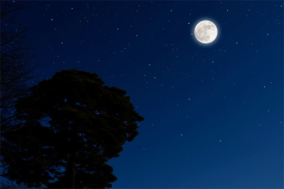 رحلة حول القمر.. كم تستغرق من الوقت، وما المعدات التي نحتاجها؟ صورة رقم 10