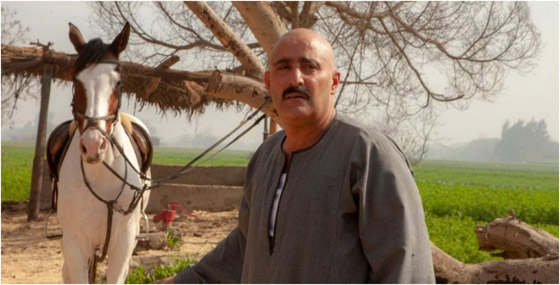 تسريب فيديو نهاية مسلسل (نسل الاغراب) ومصير أليم لأحمد السقا! صورة رقم 1