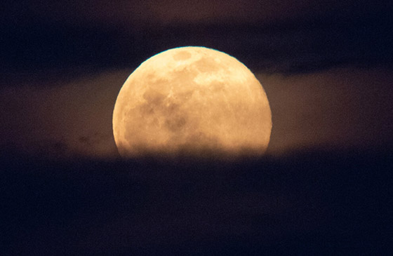 الأرض على موعد مع ظاهرة القمر العملاق الزهري النادرة الأسبوع المقبل صورة رقم 2 الأرض على موعد مع ظاهرة القمر العملاق الزهري النادرة الأسبوع المقبل صورة رقم 2