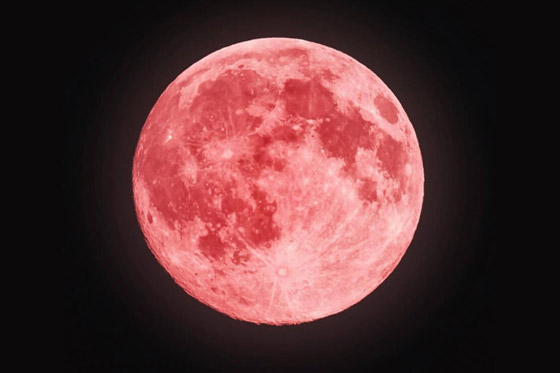 الأرض على موعد مع ظاهرة القمر العملاق الزهري النادرة الأسبوع المقبل صورة رقم 6 الأرض على موعد مع ظاهرة القمر العملاق الزهري النادرة الأسبوع المقبل صورة رقم 6