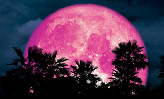 الأرض على موعد مع ظاهرة القمر العملاق الزهري النادرة الأسبوع المقبل صورة رقم 7 الأرض على موعد مع ظاهرة القمر العملاق الزهري النادرة الأسبوع المقبل صورة رقم 7