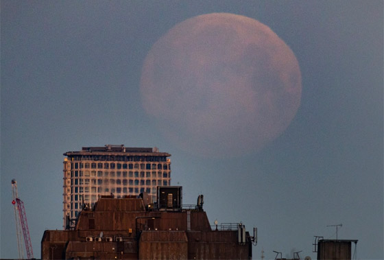 الأرض على موعد مع ظاهرة القمر العملاق الزهري النادرة الأسبوع المقبل صورة رقم 8 الأرض على موعد مع ظاهرة القمر العملاق الزهري النادرة الأسبوع المقبل صورة رقم 8